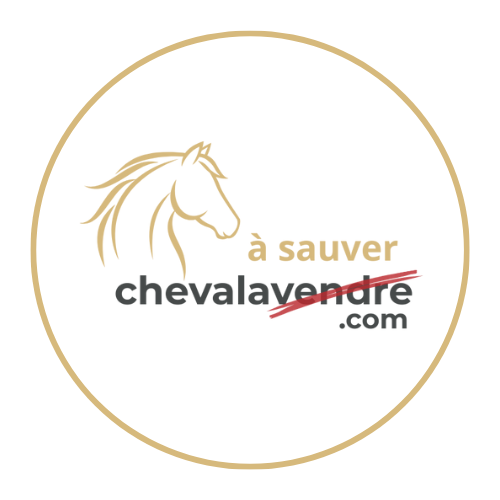 Être accompagné – cheval à l’adoption